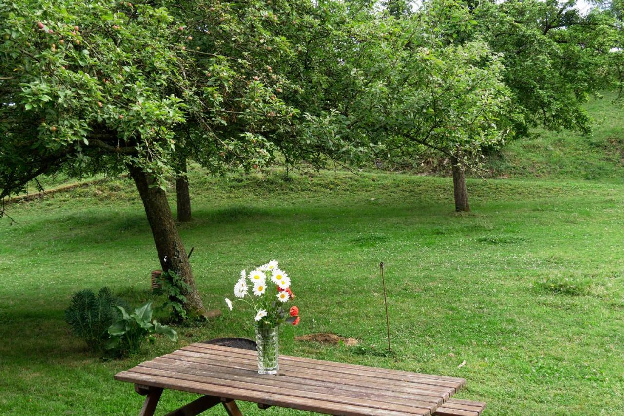 La Petite Maison O Bord De L'Eau Bernieres-le-Patry エクステリア 写真